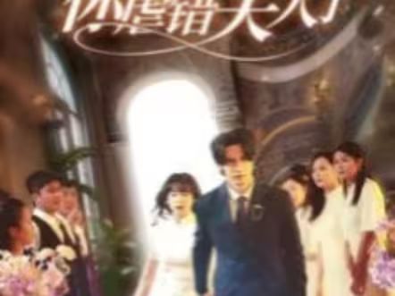 陸總住手吧，你虐錯(cuò)夫人了(全集)