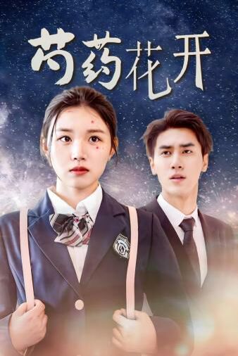 芍藥花開(kāi)（火光中的芍藥花）(全集)