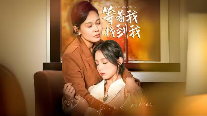 等著我，找到我(全集)