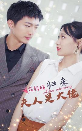 一夜錯嫁，歸來夫人是大佬(全集)