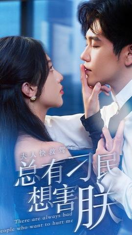 夫人快救駕，總有刁民想害朕(全集)