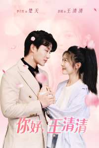 你好，王清清&且以舊火試新茶(全集)
