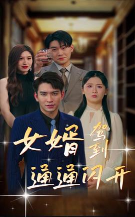 女婿駕到，通通閃開(全集)