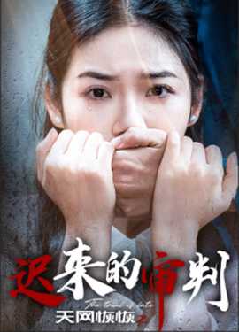 天網(wǎng)恢恢之遲來(lái)的審判(全集)