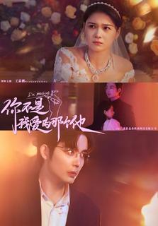 你不是我愛的那個他(全集)