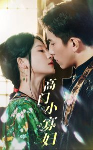 高門小寡婦(全集)