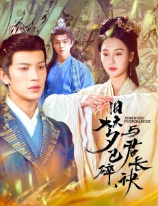 舊夢(mèng)已碎，與君長(zhǎng)訣＆終是深情錯(cuò)付君(全集)