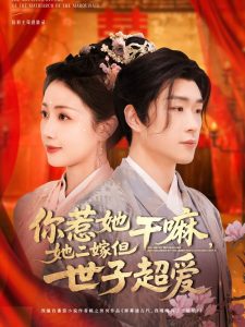 你惹她干嘛，她二嫁但世子超愛(全集)