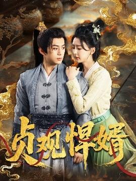 貞觀(guān)悍婿(全集)