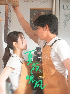 夏夜晚風(fēng)(全集)