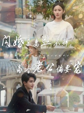 閃婚孕妻逃不掉，高冷老公偏要寵(全集)