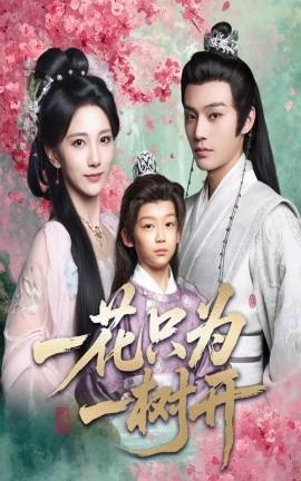 一花只為一樹(shù)開(kāi)(全集)