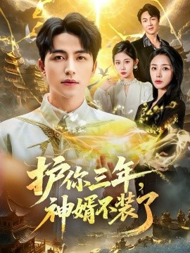 護(hù)你三年，神婿不裝了(全集)