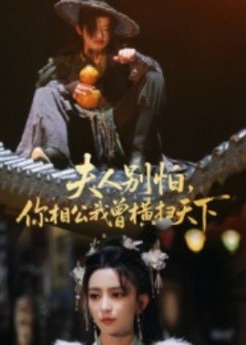 夫人別怕，你相公我曾橫掃天下(全集)