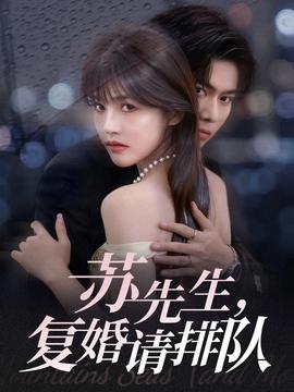蘇先生，復(fù)婚請排隊(全集)