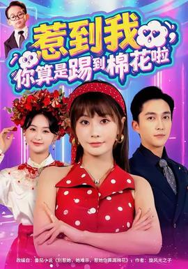 惹到我，你算是踢到棉花啦(全集)