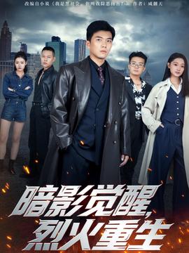 暗影覺(jué)醒，烈火重生(全集)