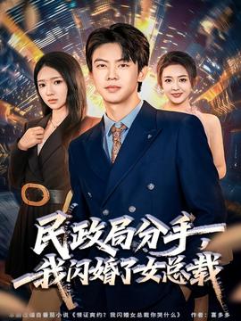 民政局分手，我閃婚了女總裁(全集)