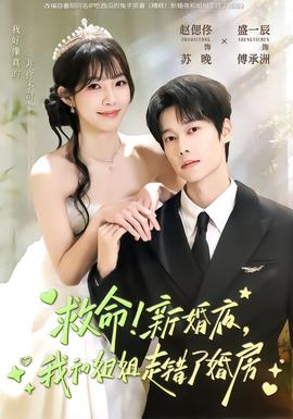 救命！新婚夜，我和姐姐走錯(cuò)了婚房(全集)