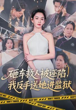 砸車救人被誣陷，我反手送她進監(jiān)獄(全集)