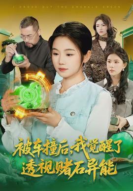 被車撞后，我覺醒了透視賭石異能了(全集)