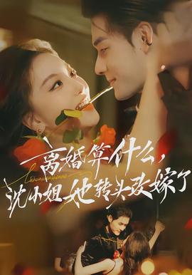 離婚算什么，沈小姐她轉(zhuǎn)頭改嫁了(全集)