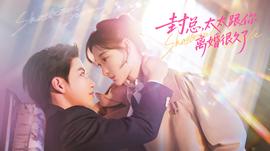 封總，太太跟你離婚很久了(全集)