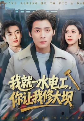 我就一水電工，你讓我修大壩(全集)